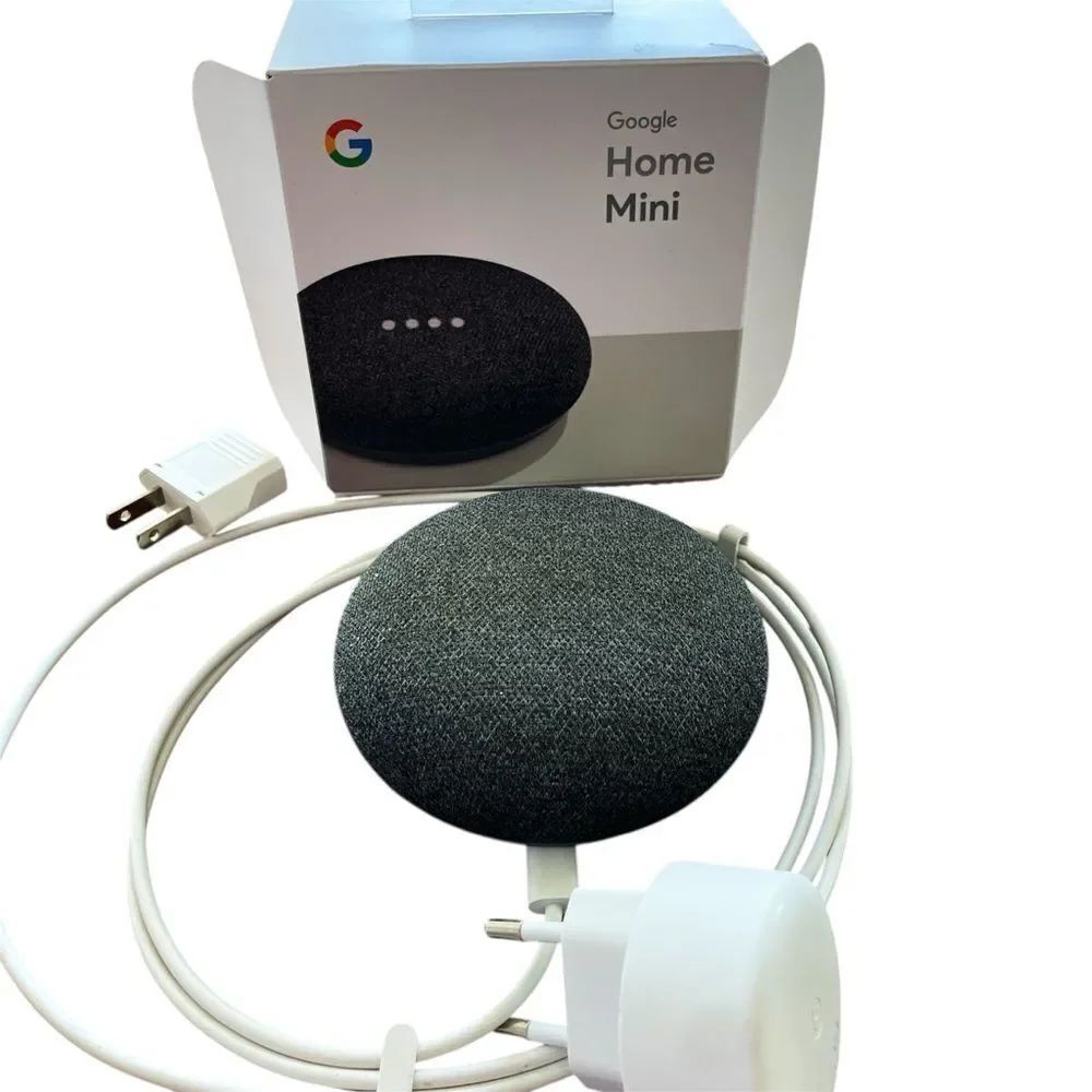 Google Nest Mini Gray Smart Speaker (European plug) with Adapter